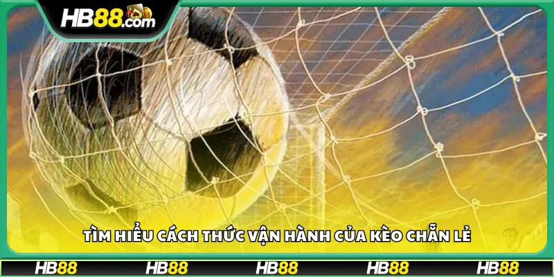 Tìm hiểu cách thức vận hành của kèo chẵn lẻ