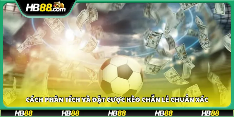 Cách phân tích và đặt cược kèo chẵn lẻ chuẩn xác