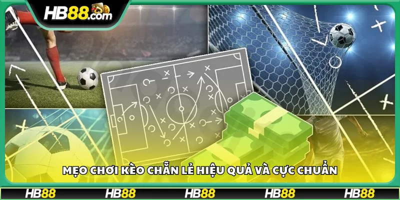 Mẹo chơi kèo chẵn lẻ hiệu quả và cực chuẩn