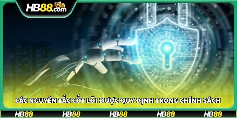 Các nguyên tắc cốt lõi được quy định trong chính sách