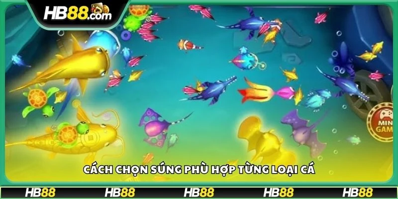 Cách chọn súng phù hợp từng loại cá