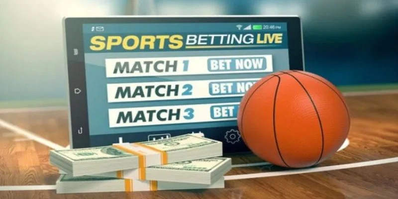 Tìm hiểu về cá cược bóng rổ tại HB 88