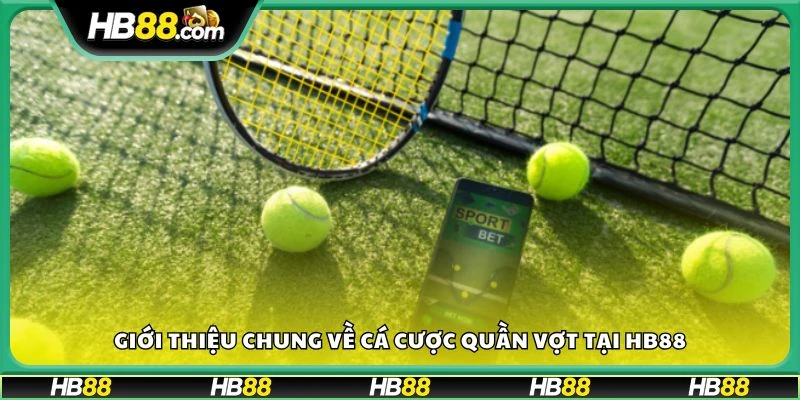 Giới thiệu chung về cá cược quần vợt tại HB88