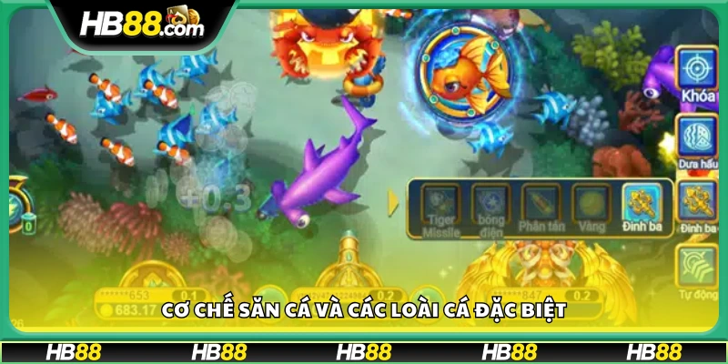 Nguyên lý săn cá và các loại cá đặc biệt