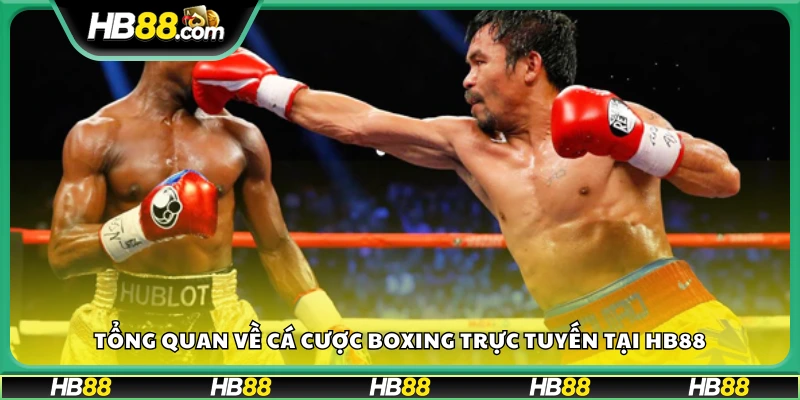 Giới thiệu cá cược Boxing Hb 88