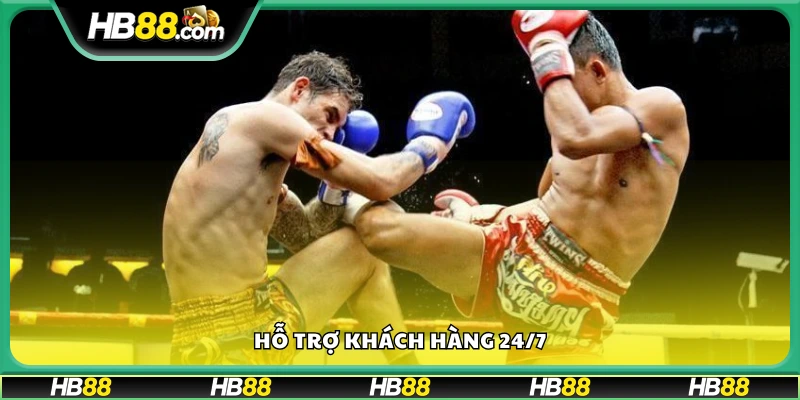 Đội ngũ hỗ trợ chuyên nghiệp