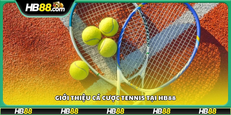 Khám phá thế giới cá cược Tennis đầy kịch tính tại Hb 88 