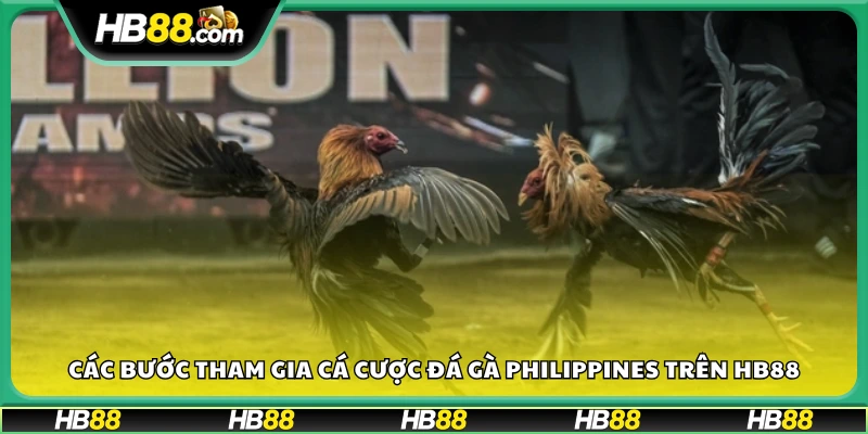 Hướng dẫn tham gia đá gà tại Hb88